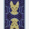 Tarot “Pagan Cats” Pocket - Imagen 2